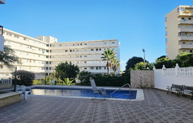 Reventa - Apartamento / piso - Torrevieja - Torreblanca