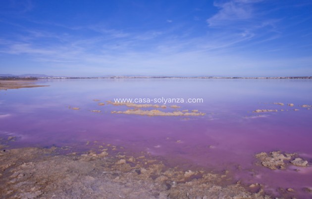 Herverkoop - Villa - Los Altos