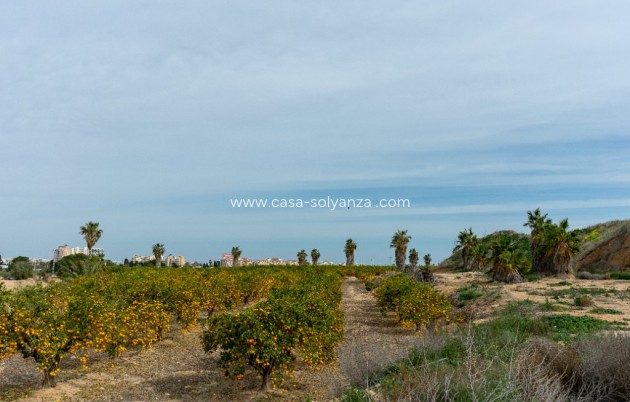 Herverkoop - Villa - Los Altos