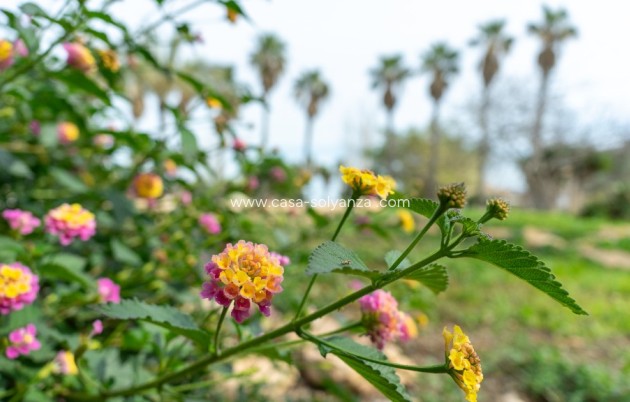 Herverkoop - Villa - Los Altos