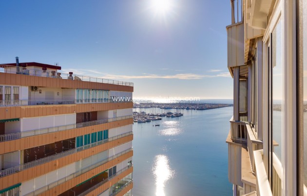 Herverkoop - Appartement / flat - Torrevieja - Acequion
