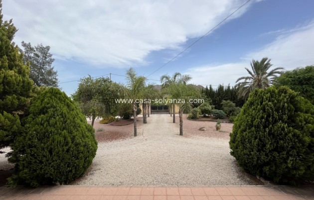 Revente - Villa - Callosa de Segura - Callosilla