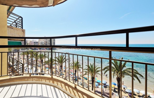 Herverkoop - Appartement / flat - Torrevieja - Playa del Cura