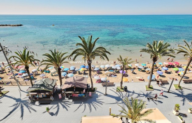 Herverkoop - Appartement / flat - Torrevieja - Playa del Cura