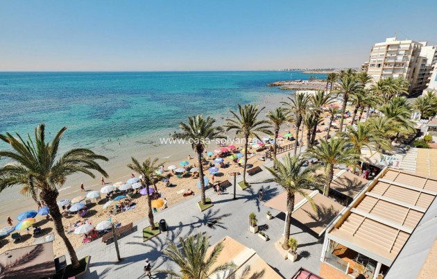 Herverkoop - Appartement / flat - Torrevieja - Playa del Cura