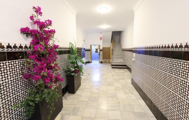Herverkoop - Appartement / flat - Torrevieja - Costa Blanca