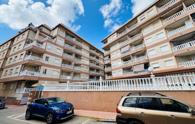 Resale - Apartment / flat - La Mata - Costa Blanca