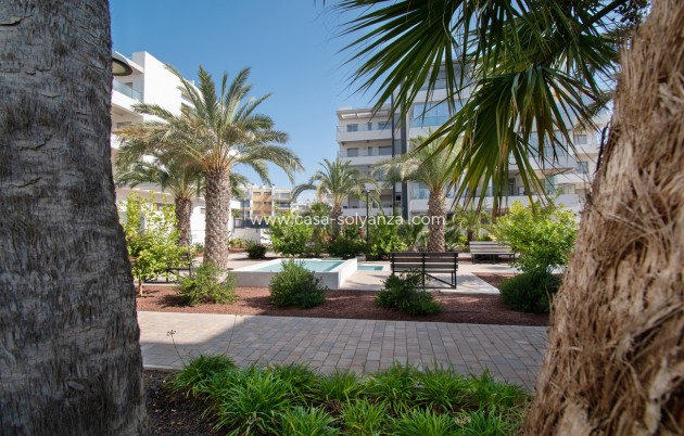 Herverkoop - Appartement / flat - Orihuela Costa - Los Dolses