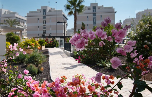 Herverkoop - Appartement / flat - Orihuela Costa - Los Dolses
