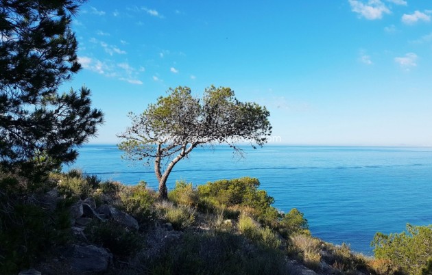 Nieuwbouw Woningen - Appartement / flat - Villajoyosa - Playa Les Torres