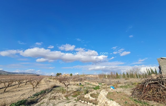Resale - Country Property/Finca - Pinoso - Inland