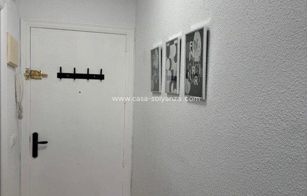 Alquiler a largo plazo - Flat - Torrevieja - La Mata