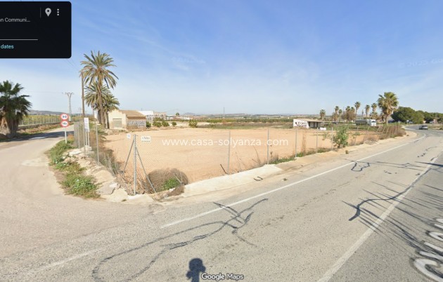 Wiederverkauf - Land - San Miguel de Salinas - San Miguel Salinas