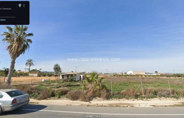 Wiederverkauf - Land - San Miguel de Salinas - San Miguel Salinas