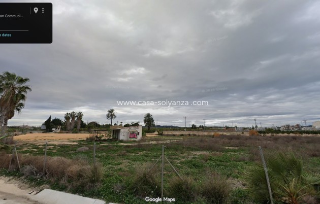 Wiederverkauf - Land - San Miguel de Salinas - San Miguel Salinas