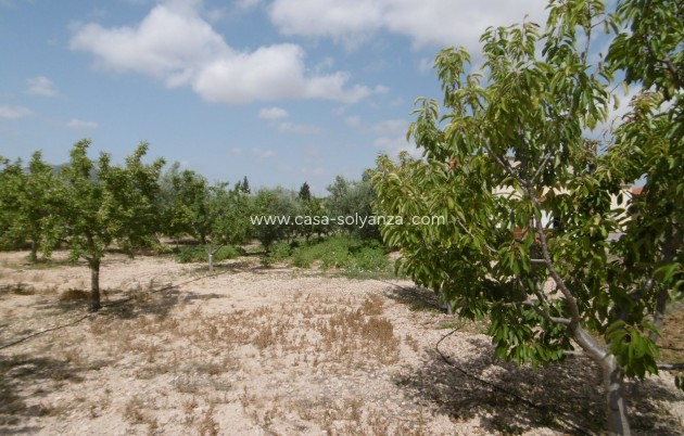 Revente - Villa - Yecla - Inland