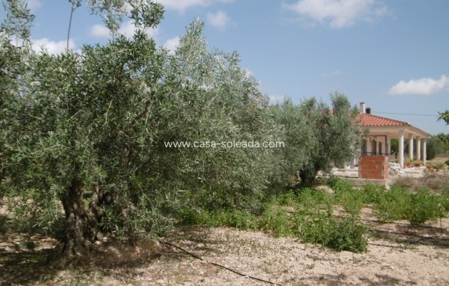 Revente - Villa - Yecla - Inland