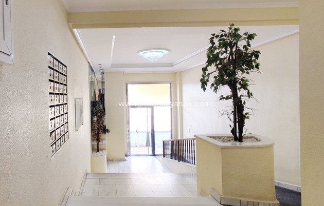 Herverkoop - Appartement / flat - Torrevieja - Costa Blanca