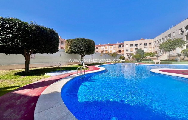 Herverkoop - Appartement / flat - Torrevieja - Acequion