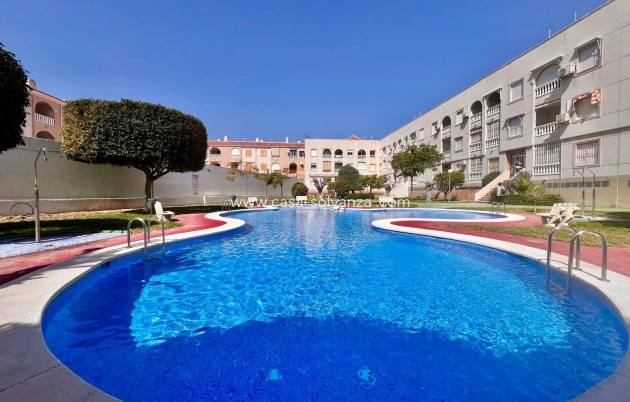 Herverkoop - Appartement / flat - Torrevieja - Acequion