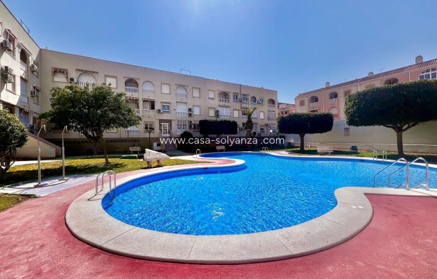 Herverkoop - Appartement / flat - Torrevieja - Acequion