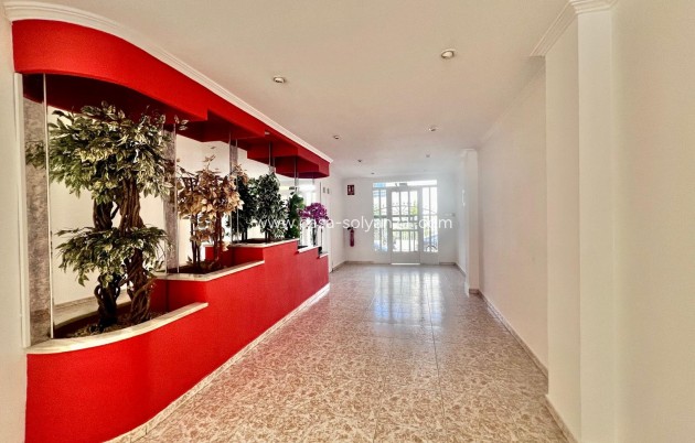 Herverkoop - Appartement / flat - Torrevieja - Acequion