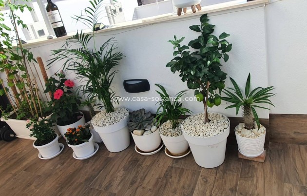 Herverkoop - Villa - San Pedro del Pinatar - Centro