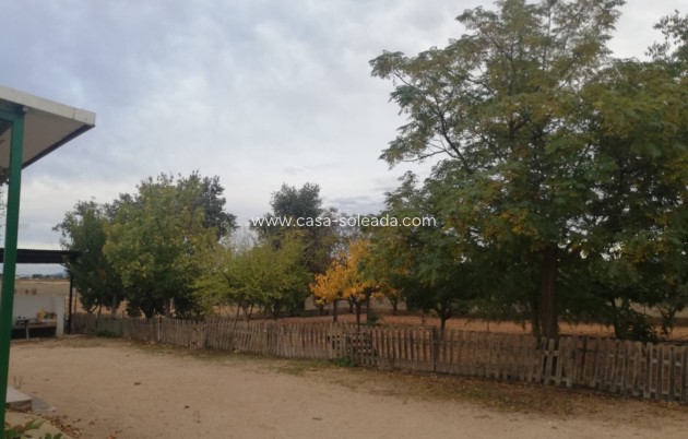 Revente - Country Property/Finca - Yecla - Inland