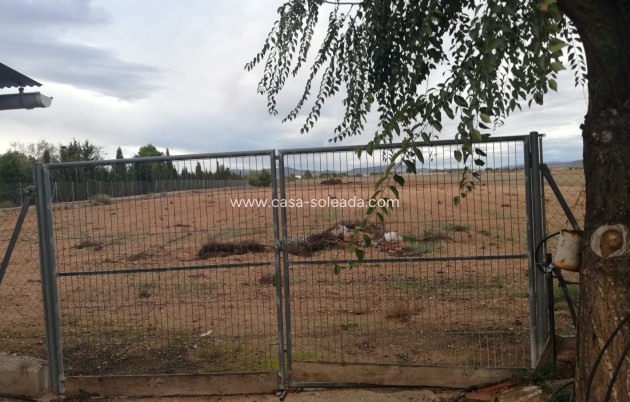 Revente - Country Property/Finca - Yecla - Inland