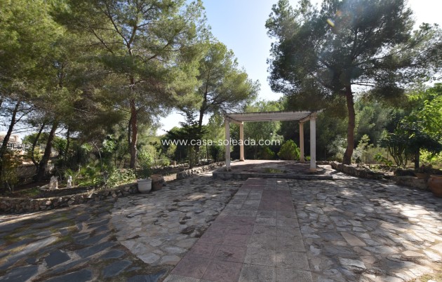 Revente - Country Property/Finca - Algorfa - Montemar