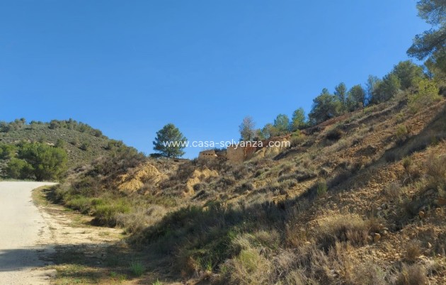 Resale - Villa - Jumilla - Inland