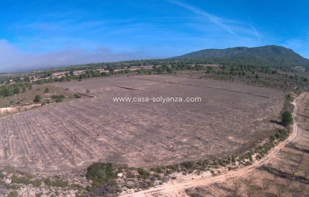 Resale - Land - Yecla - Inland