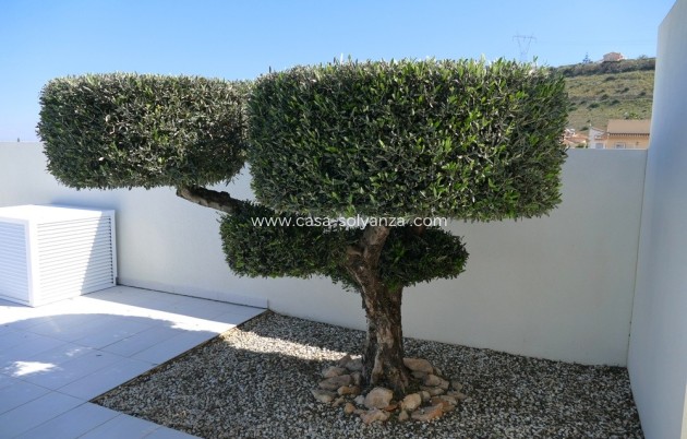 Herverkoop - Villa - Benijofar - Costa Blanca