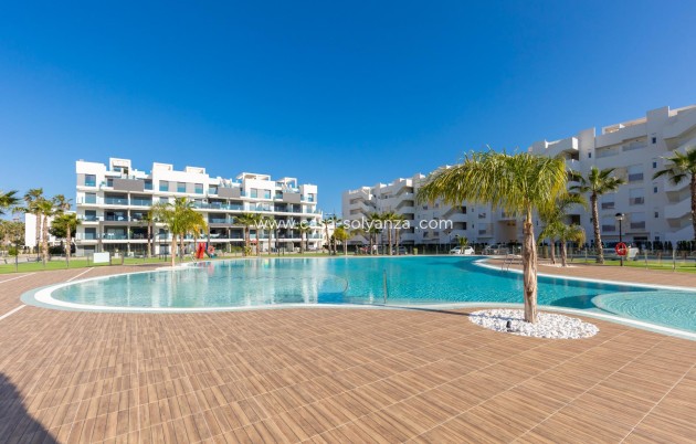 Resale - Apartment / flat - Guardamar del Segura - El Raso