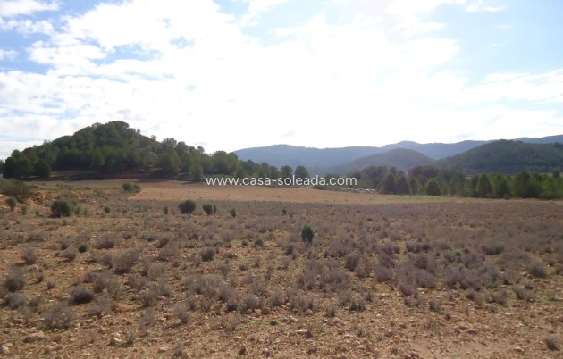 Resale - Land - Monóvar - Inland