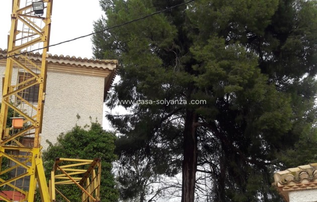 Herverkoop - Country Property/Finca - Caravaca de la Cruz - Inland