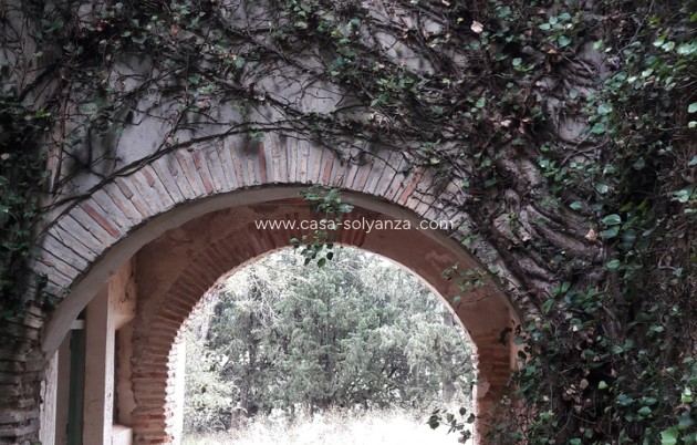 Herverkoop - Country Property/Finca - Caravaca de la Cruz - Inland