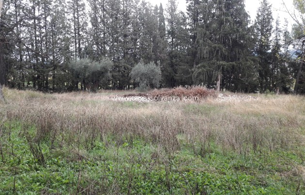 Herverkoop - Country Property/Finca - Caravaca de la Cruz - Inland