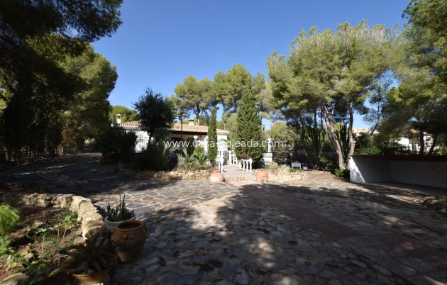 Revente - Country Property/Finca - Algorfa - Montemar