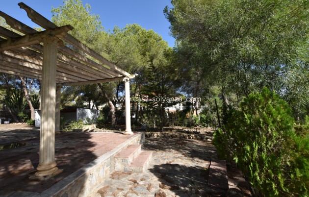 Revente - Country Property/Finca - Algorfa - Montemar