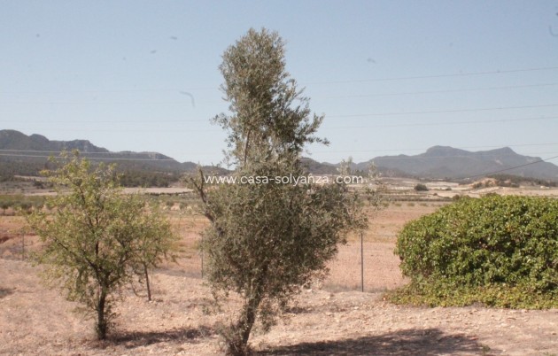 Resale - Country Property/Finca - Torre Del Rico - Inland