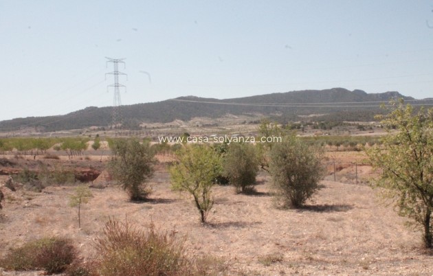 Resale - Country Property/Finca - Torre Del Rico - Inland