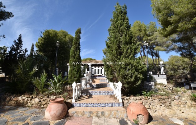 Revente - Country Property/Finca - Algorfa - Montemar