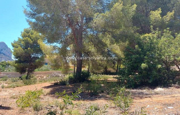 Resale - Land - Calpe - Costa Blanca