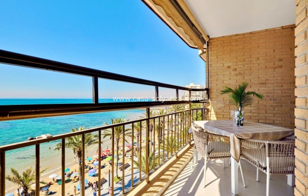 Herverkoop - Appartement / flat - Torrevieja - Estacion Autobuses