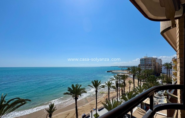 Herverkoop - Appartement / flat - Torrevieja - Estacion Autobuses