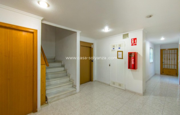 Herverkoop - Appartement / flat - Torrevieja - Estacion Autobuses