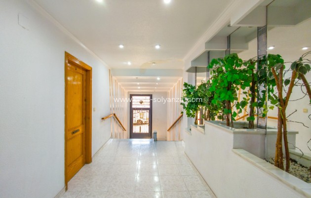 Herverkoop - Appartement / flat - Torrevieja - Estacion Autobuses