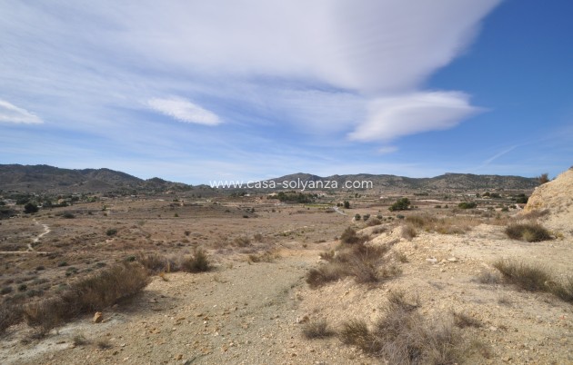 Resale - Country Property/Finca - Monóvar - Inland