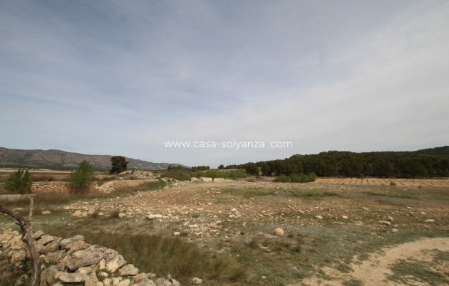 Resale - Country Property/Finca - Monóvar - Inland